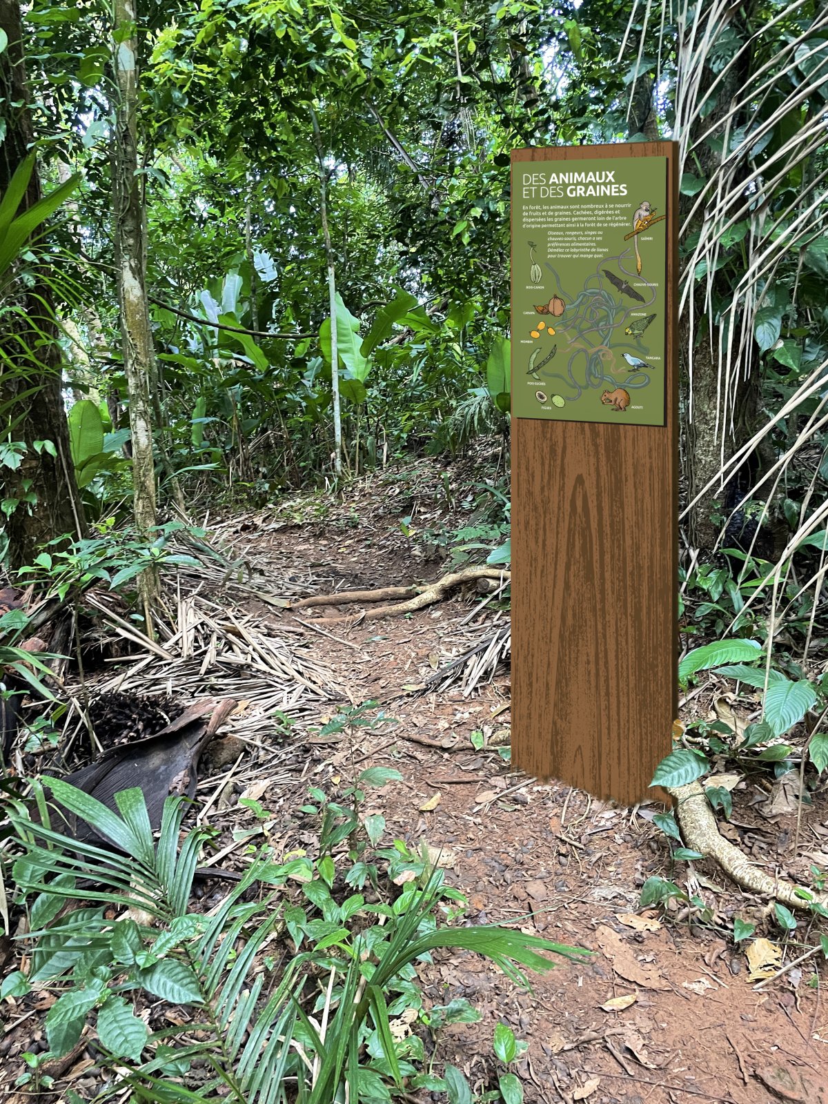 Design borne illustrée Loyola Borne d'interprétation Guyane
